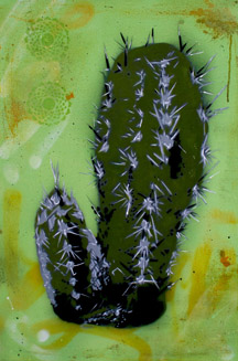 cactus2web.jpg
